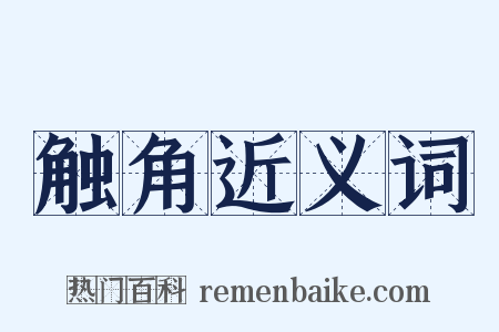 触角近义词是什么意思的图片